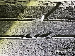 Schmitz Cargobull Tiefkühler Standard Doppelstock