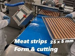 HydroShpriz HySpriz SAS200 Automatic Forming & Cutti