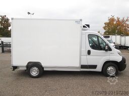 FIAT Ducato 130 *Carrier Tiefkühler*Klima*Euro6*