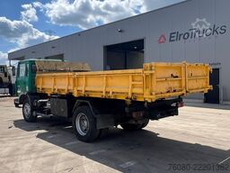 Renault S 170 (10 BOULOTS / POMPE MANUELLE / LAMES / MA...