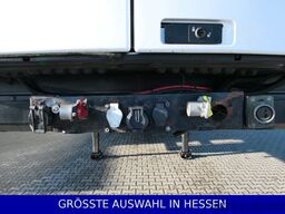 SCHMITZ CARGOBULL Multi Temp Türen LBW Lift + Lenkachse  ¤749.-m