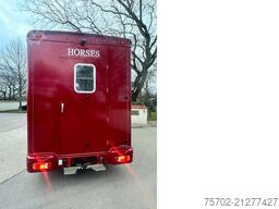 Peugeot Boxer Equi-Trek 1-2 Pferde
