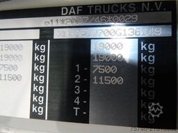 DAF CF 290 + CARRIER + LOADLIFT