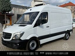 MERCEDES-BENZ Sprinter 316 CDi Kühlkasten Zanotti Tiefkühlung