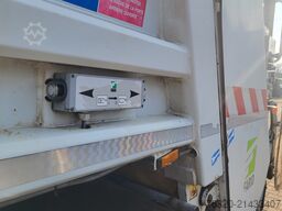 Renault D 19 Wide