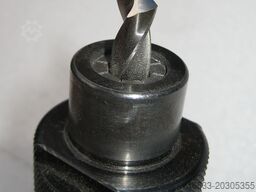 Herzog 0313