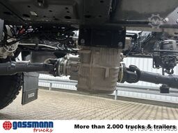 Iveco EuroCargo ML150E24 WS 4x4, Euro3, mehrfach