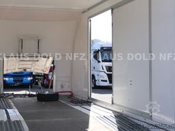 TURATELLO TR S 202 geschlossener Autotransporter