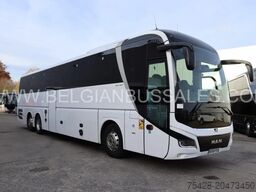 MAN LION'S COACH R08