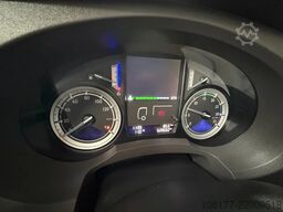 DAF LF 220 EURO 6 BLATT/BLATT -LAMMES/LAMMES - SCHA...