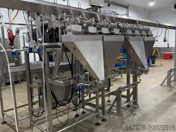 Cotswold Mechanical Ltd 4-head C4000 linear weigher (2016)