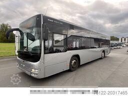 MAN A 78 Lion?s City/A20/A21 Lion?sCity/O 530/Citaro