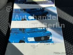 MERCEDES-BENZ Vario 818D Diffsperre/Klima/Standh/Luftfed Euro4