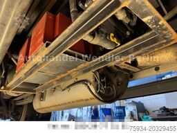 MERCEDES-BENZ Vario 818D Diffsperre/Klima/Standh/Luftfed Euro4