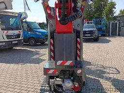 Platform Basket Spider13.80