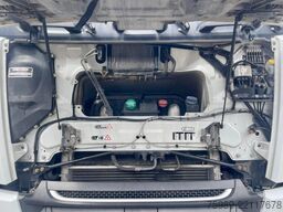 DAF XF 460 MANUAL,  ADR, FRIGO