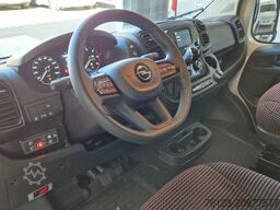 FIAT 1x Ducato 1x  Opel Movano 18 SS  in Stock