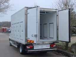 MERCEDES-BENZ Sprinter 516 CDI Carrier 4+4+2 Türen Euro 5