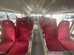 MAN A44 Lions City LLE