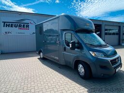 FIAT Ducato Böckmann 2 Pferdetransporter