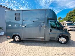 FIAT Ducato Böckmann 2 Pferdetransporter