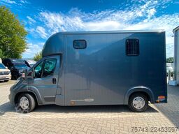 FIAT Ducato Böckmann 2 Pferdetransporter
