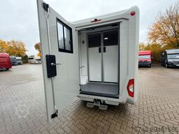 RENAULT Master STX Haras AUTOM. NEW MODEL 2025