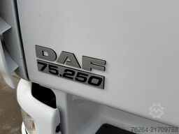 DAF CF75.250