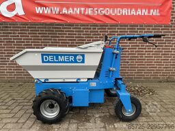  Delmer