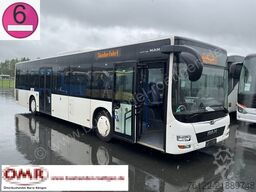 MAN A 20 Lion´s City Ue