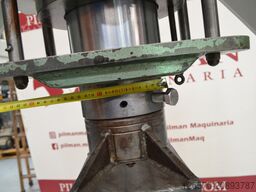 Francisco Camp 100 Tn