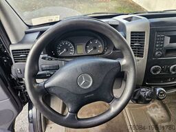 Mercedes-Benz Sprinter 313