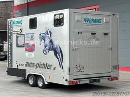  Gimmel P 3500 W Pferdeanhänger mit Wohnabteil