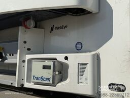 Schmitz Cargobull Tiefkühler Multitemp