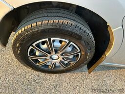 Renault Master STX Haras 1-2 Pferde Automatik