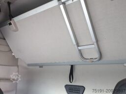 IVECO AS440S46T/P 2LNG