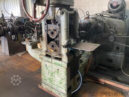 MINO GIOVANI BATTISTA 