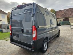 Fiat Ducato 35 Automatik AT L2H2 Voll-LED 260°