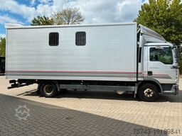 MAN 12250 4 Pferde Roelofsen