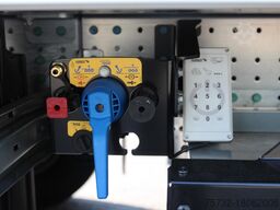 SCHMITZ Thermo King Advancer A400 DS Strom Blumen