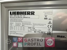 Liebherr GGPv 6590 Index 42C /001