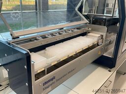 Chemagen chemagic MSM I