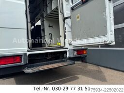 MERCEDES-BENZ Vario 814D Diff Klima Airbag Standh 120km/h
