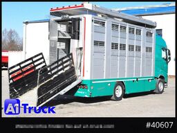 VOLVO FH 500, Stehmann, 2 Stock, Funk