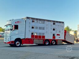 Volvo FH 13.500 XL 6x2 - Pezzaioli livestock 3 deck +...