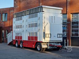 Volvo FH 13.500 XL 6x2 - Pezzaioli livestock 3 deck +...