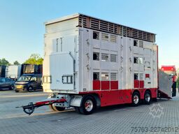 Volvo FH 13.500 XL 6x2 - Pezzaioli livestock 3 deck +...