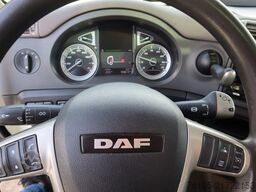 DAF CF 260 Bak+Klep Dhollandia 2000 kg