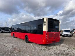  Guleryuz Ecoline 12