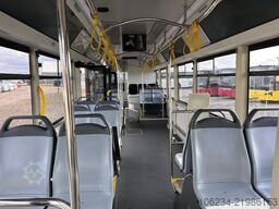  Guleryuz Ecoline 12
